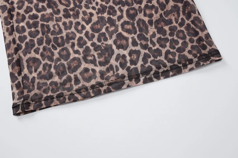 Hugcitar 2024 Leopard Print Mesh Long Sleeve Sexy Slim See Through Maxi Dress Fall Women Fashion Outfits Beach Vacation Club