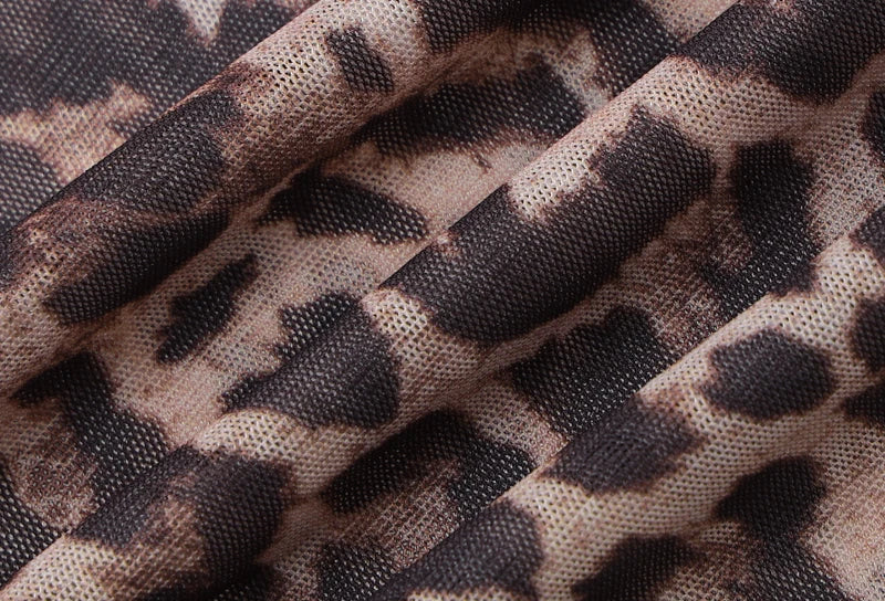 Hugcitar 2024 Leopard Print Mesh Long Sleeve Sexy Slim See Through Maxi Dress Fall Women Fashion Outfits Beach Vacation Club