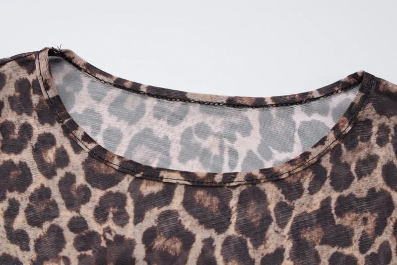 Hugcitar 2024 Leopard Print Mesh Long Sleeve Sexy Slim See Through Maxi Dress Fall Women Fashion Outfits Beach Vacation Club